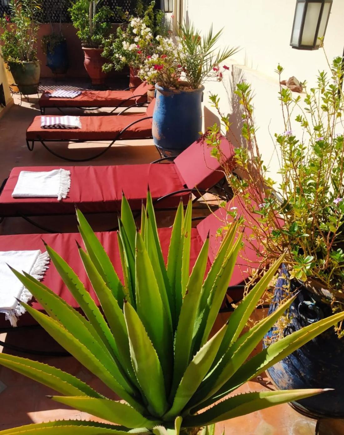 Riad Dar Zampa Marrakesh Eksteriør billede